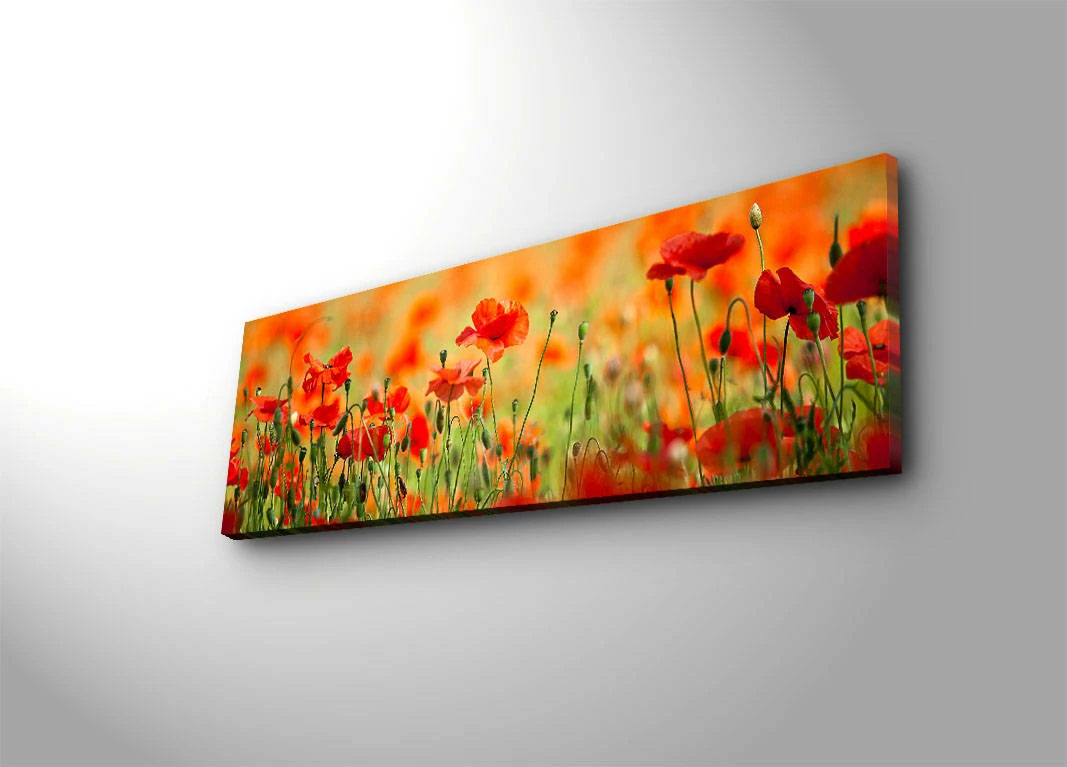 Pikturë dekorative me drita LED, shumëngjyrëshe, Wallity, 3090İACT-13, 30x90cm