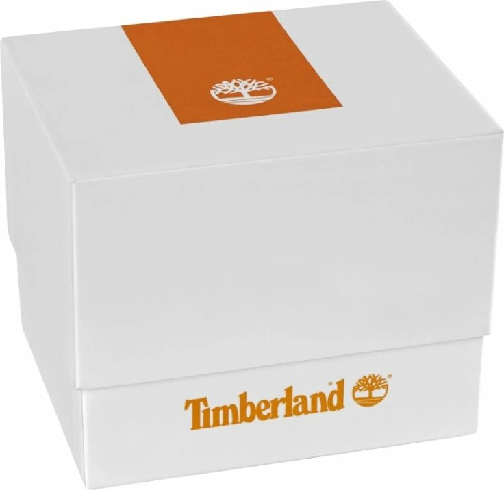 Orë dore meshkuj Timberland Northbridge TDWGA2152102, set me çantë