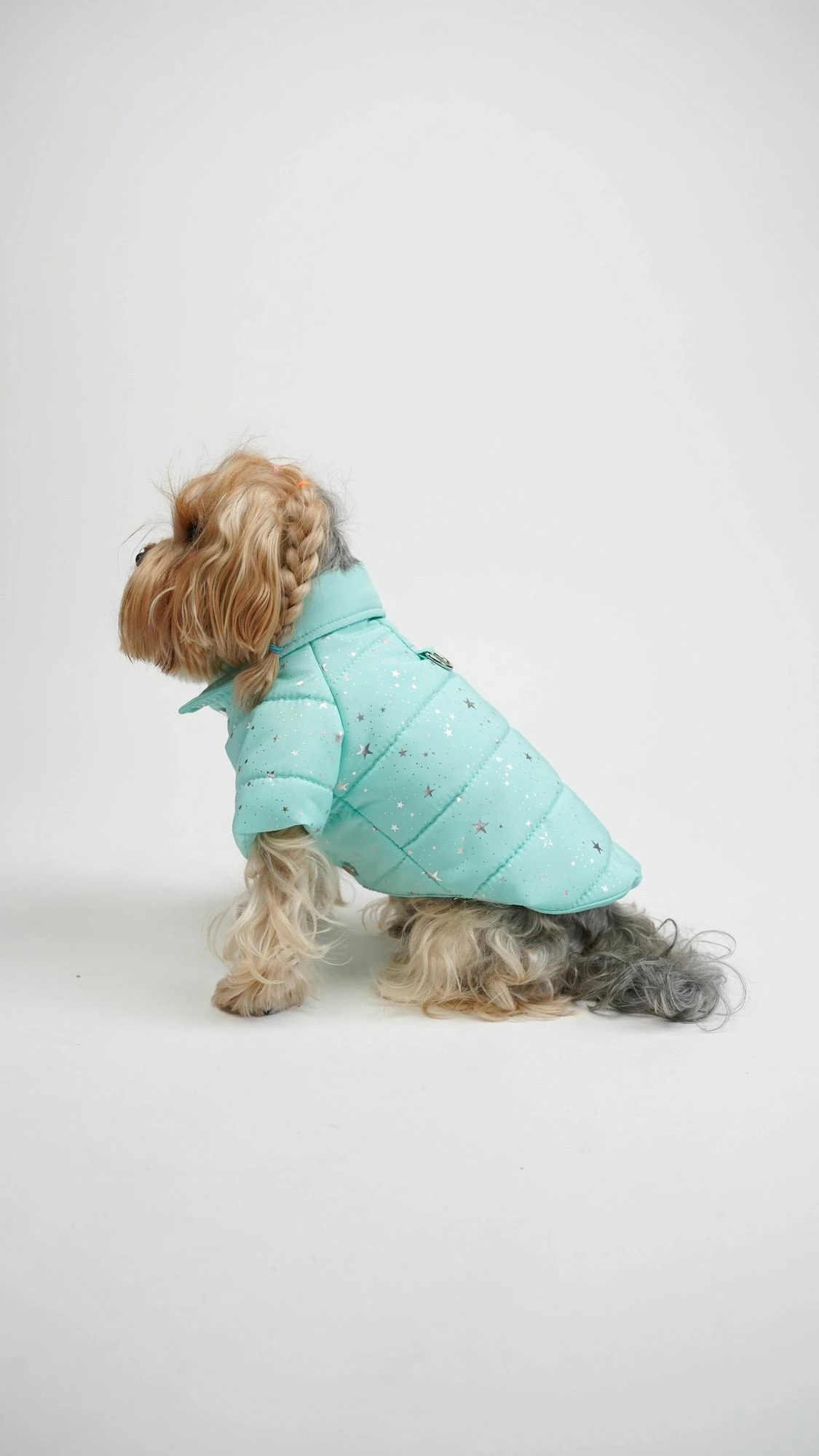 Bluze për qen, Angel Glow, ngjyrë kaltër, Paws & Whiskers, madhësia L