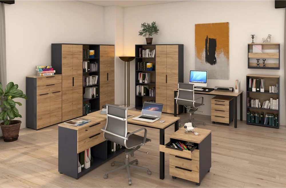 Dollap për rroba Rioma, 70 x 40 x 196.4 cm, dru/antracit