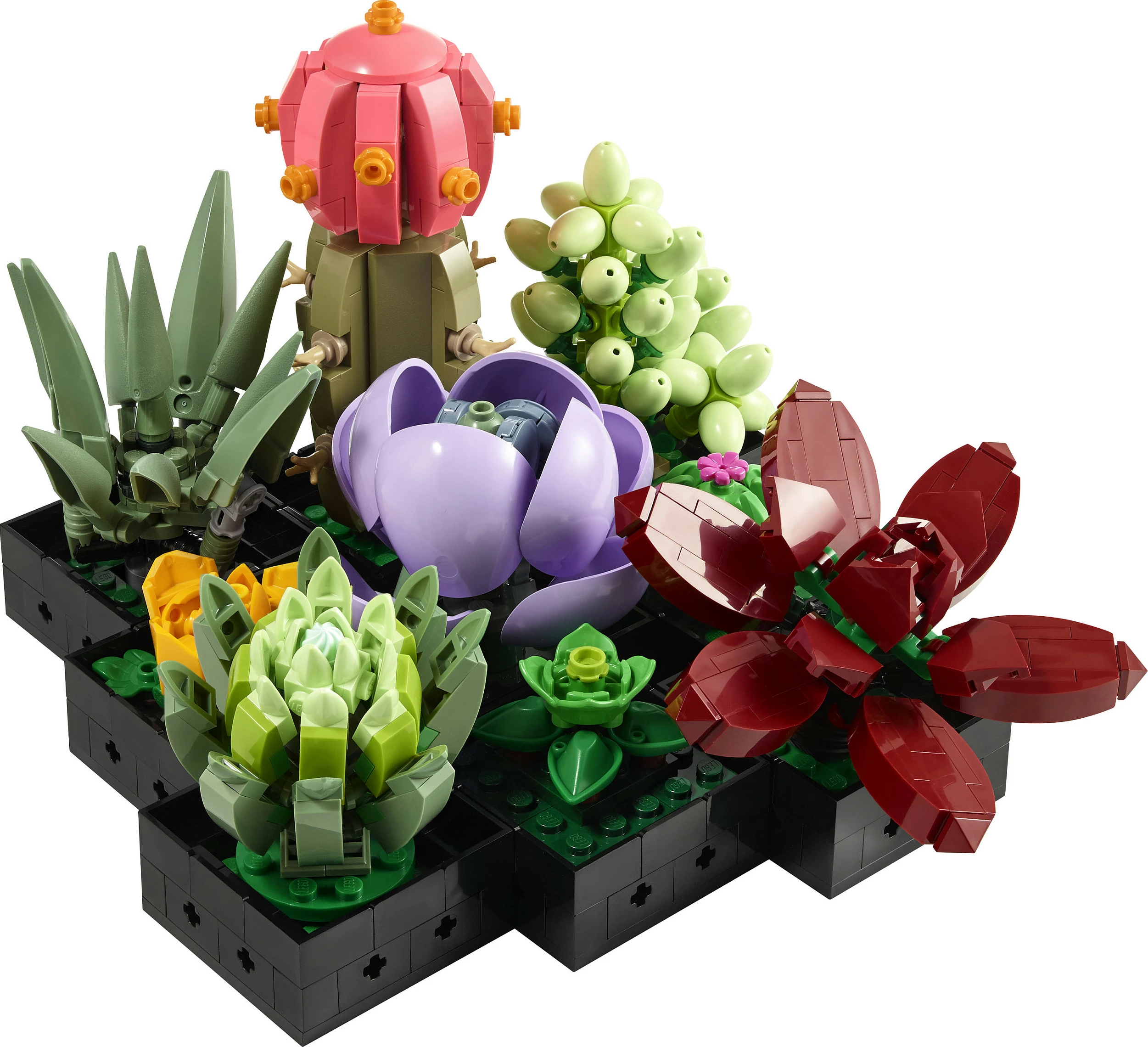 Set ndërtimi LEGO Botanicals Succulents 10309, 771 copë, 18+, multikolor