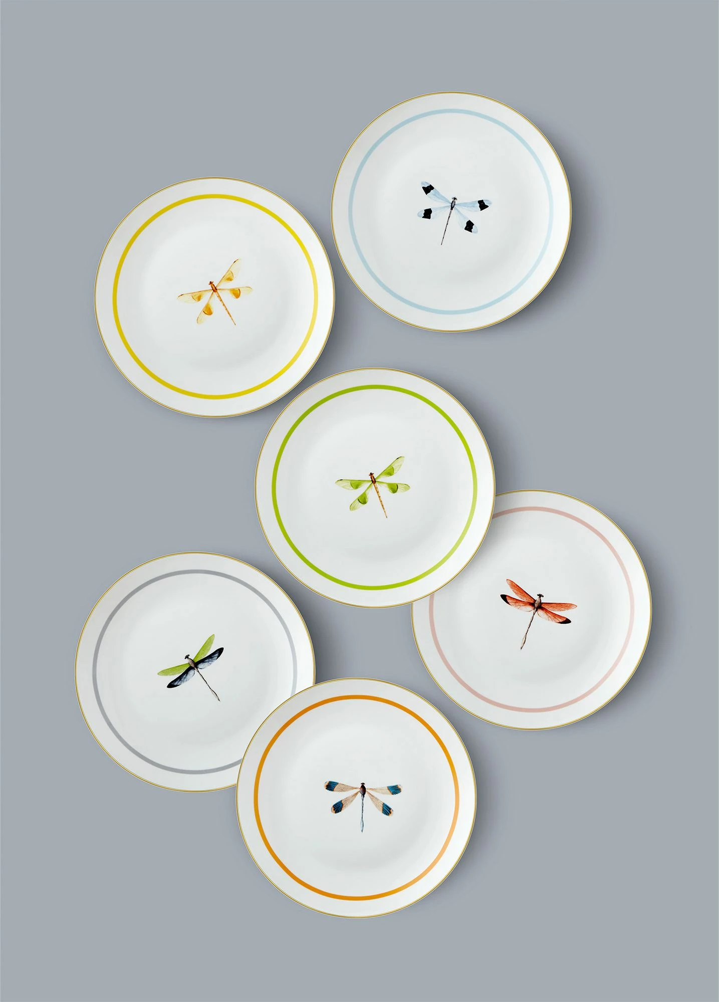 Set pjatash për ëmbëlsira, shumëngjyrëshe, Hermia, DNR0059, 6 copë