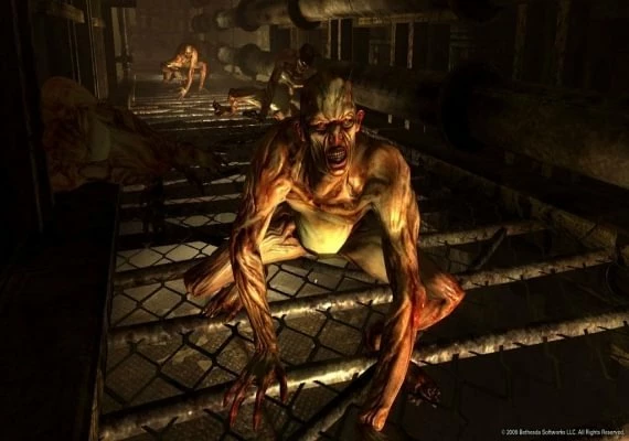 Fallout 3: The Pitt DLC EN/DE/FR/IT/ES Global