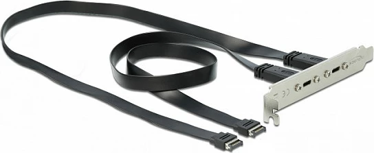 Braket slote USB-C DeLOCK, 2x USB-C, USB 3.2 Gen 2, 0.5 m, argjendtë
