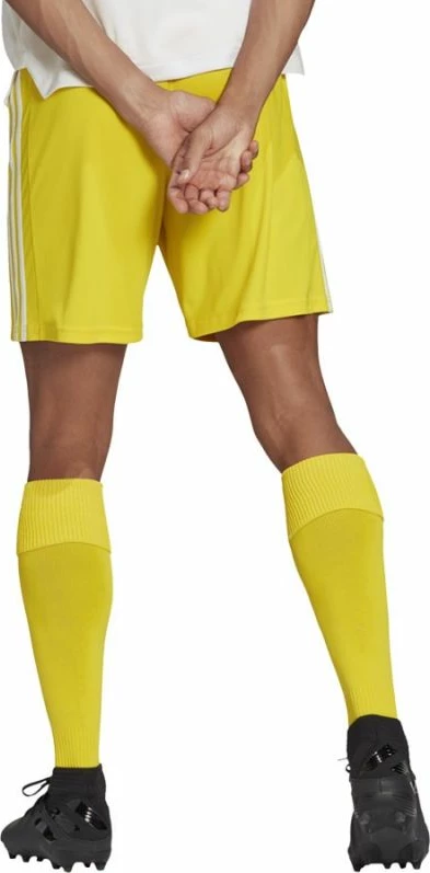 Shorce futbolli për meshkuj adidas, të verdha [Madhësia: L]