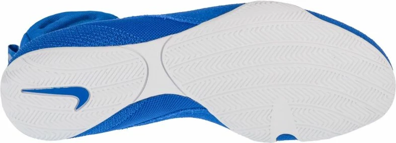 Atlete për meshkuj Nike, të kaltra