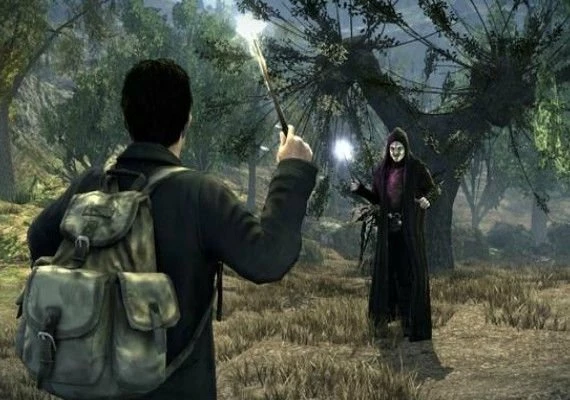 Harry Potter and the Deathly Hallows Part 1 EN Global