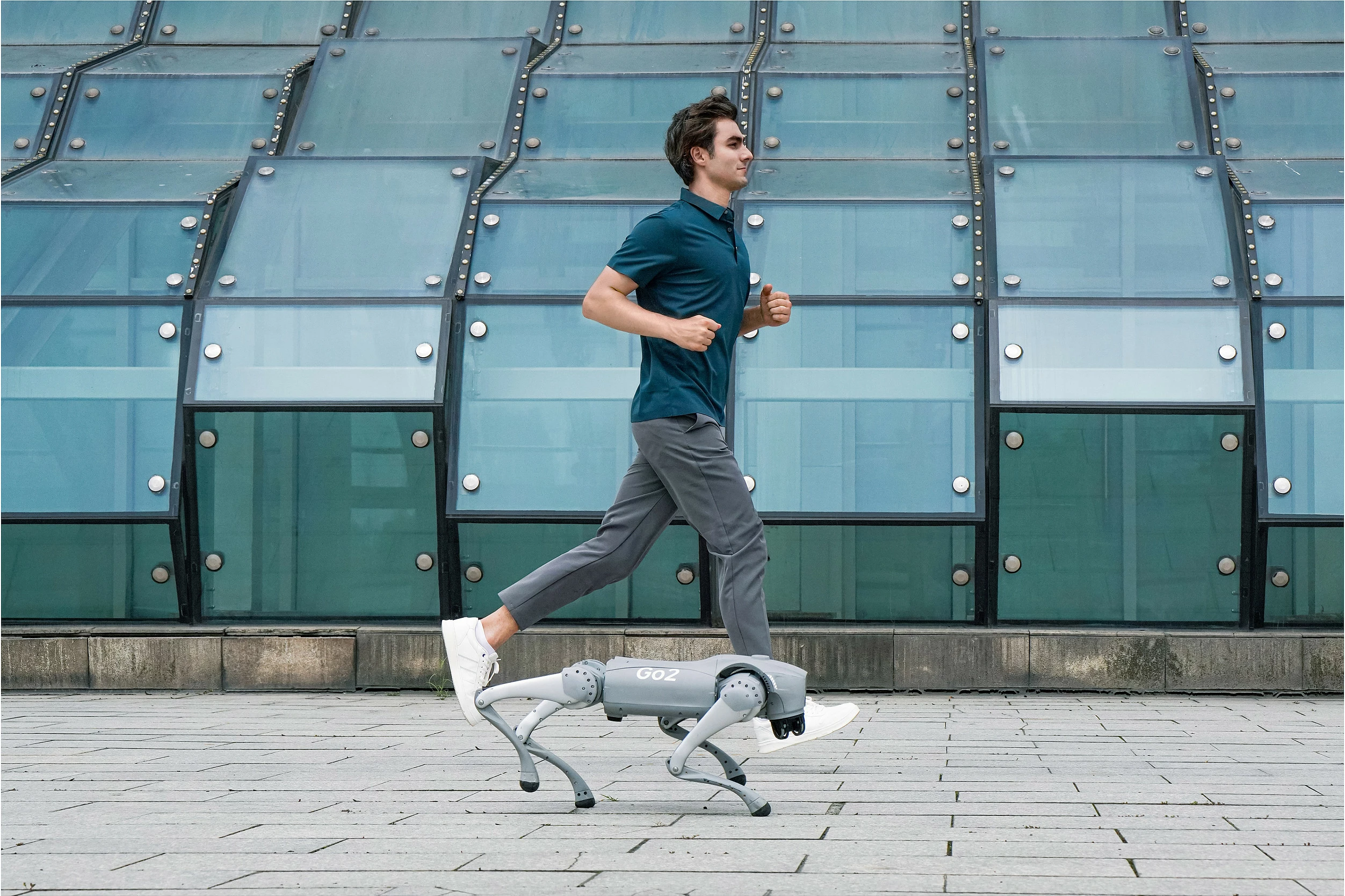 Qen robotik Unitree Go2 Air, Wi‑Fi/Bluetooth, kamerë, bateri 8000 mAh, me telekomandë, gri