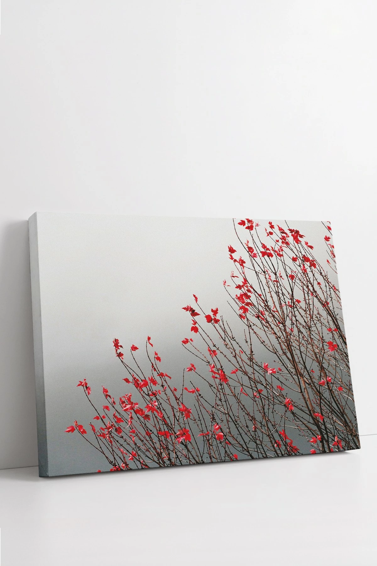 Pikturë dekorative në kanavacë, Wallity, Ersyfdc184, shumëngjyrëshe, 50x70cm