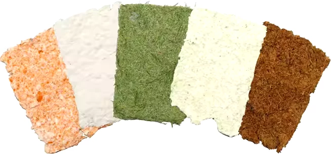 Set edukativ, Krijimi letrës, SEK