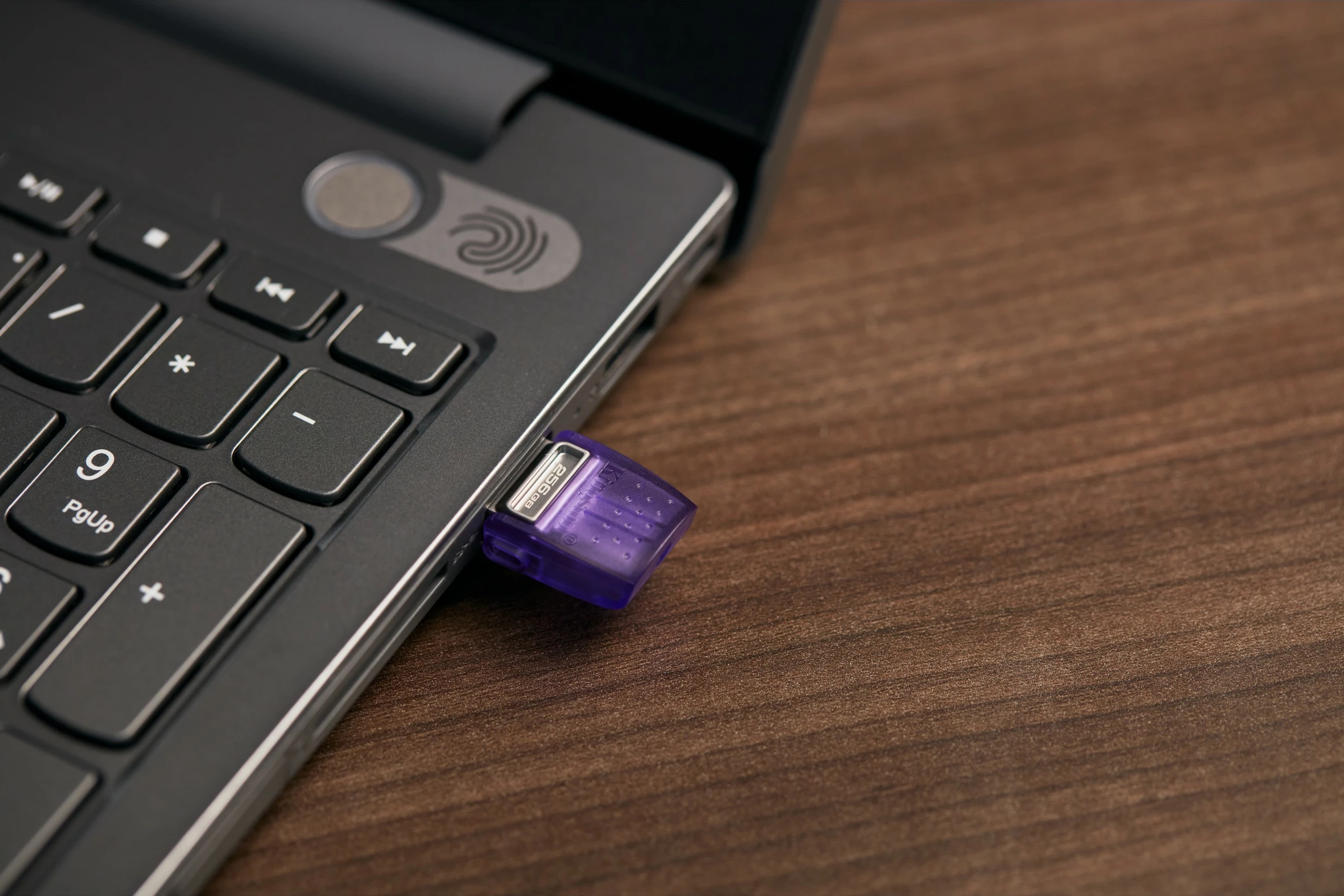 USB Kingston DataTraveler microDuo 3C 256GB, stainless steel/vjollcë