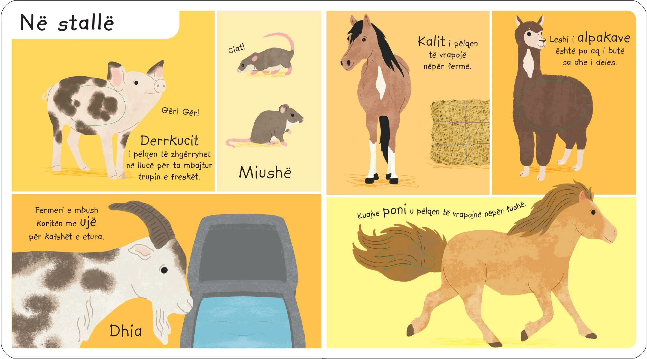 Kafshet e fermes(gjej ndiej meso)