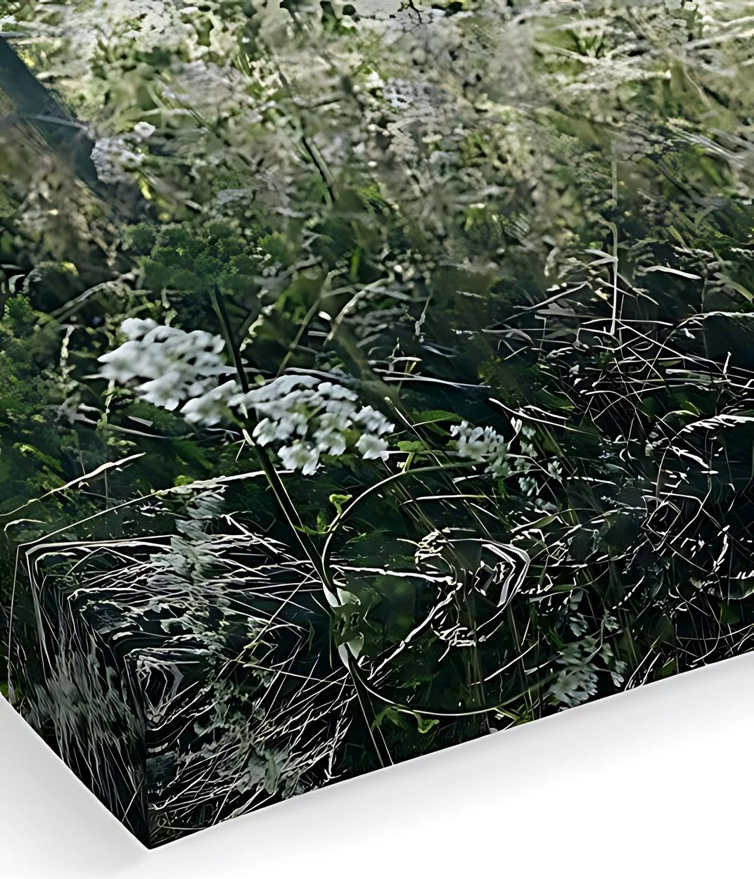 Pikturë dekorative në kanavacë, shumëngjyrëshe, Wallity, Artcanvas93, 40x60cm