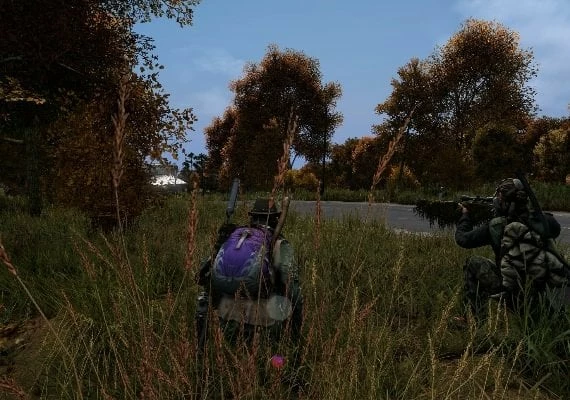 DayZ Cool Edition EN Global