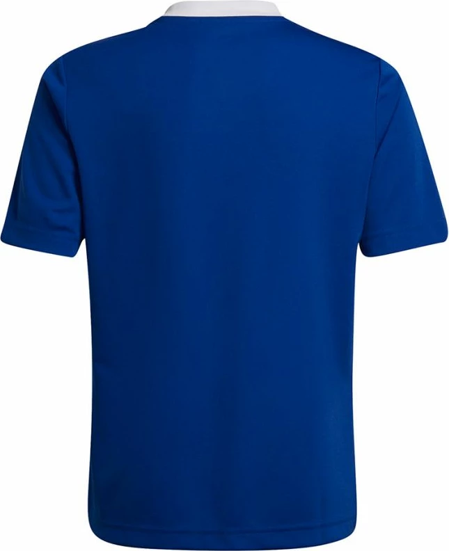 Maicë për fëmijë adidas, blu [Madhësia: 176 cm]
