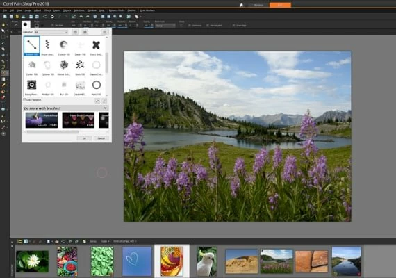 Corel PaintShop Pro x9 EN Global
