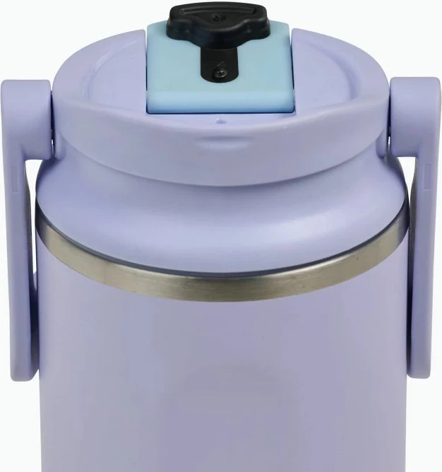 Gote Termike Inox 473ml Vjollce