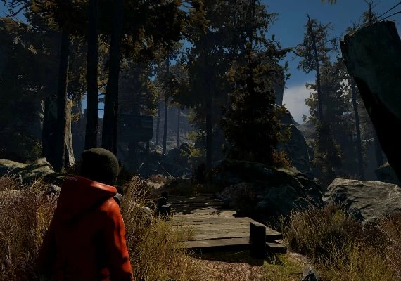 Through the Woods Collector's Edition EN/DE/FR/IT/NO/RU/ES Global