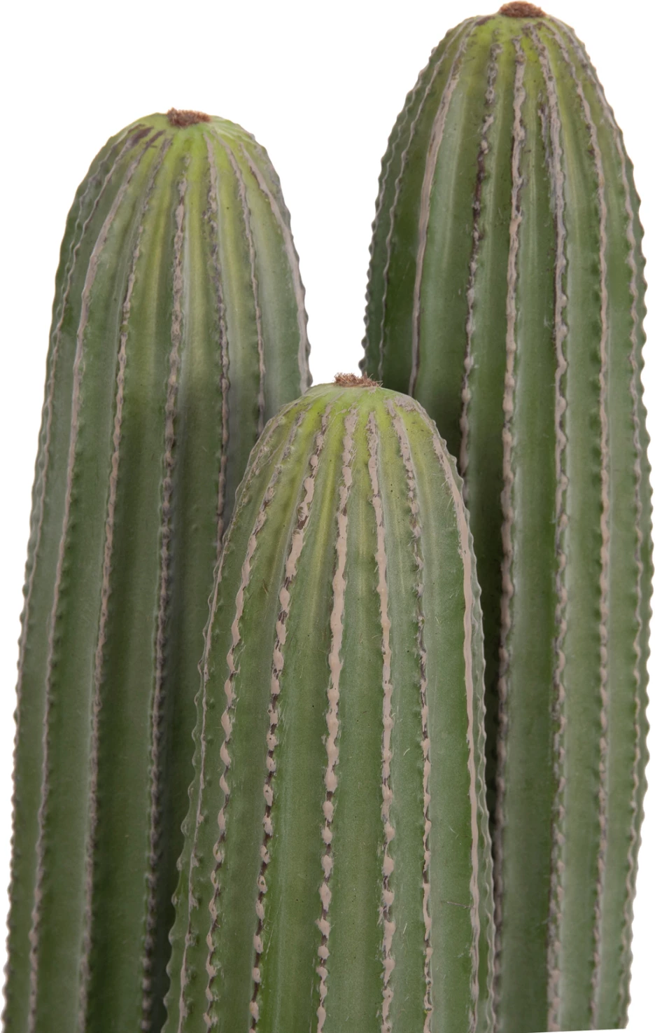 Bimë dekorative sintetike në vazo, lloj kaktusi, FH4743, 16x62cm