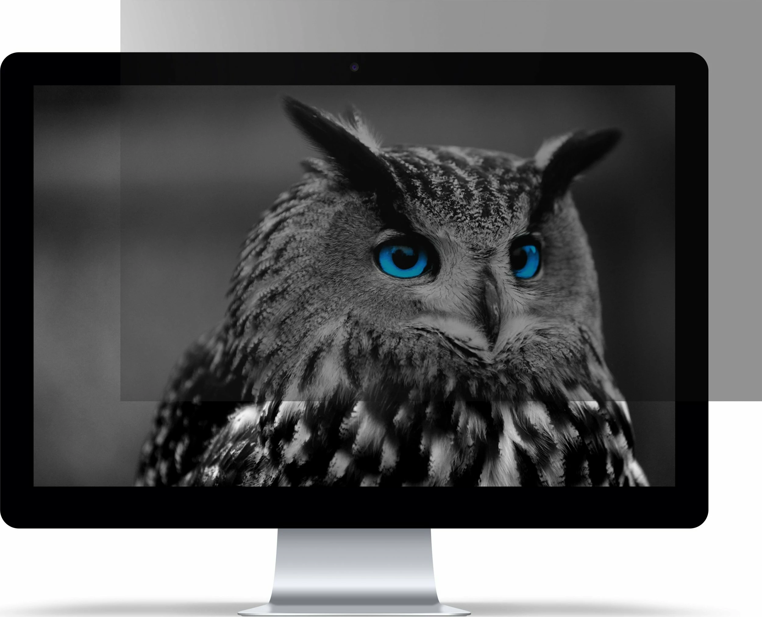 Filtër privatësie për ekran Natec OWL NFP-2118 27"