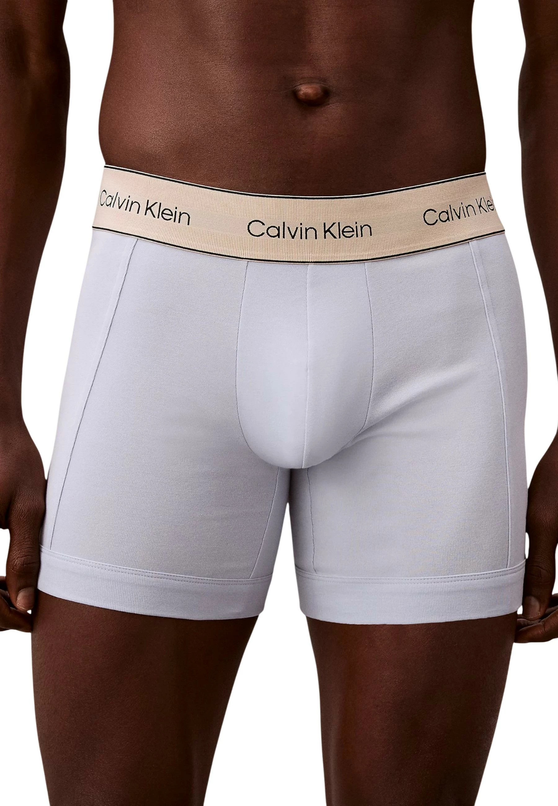 Të brendshme boxer brief 3 palë për meshkuj Calvin Klein Underwear LV00NB4447, të zeza/gri [Madhësia: S]