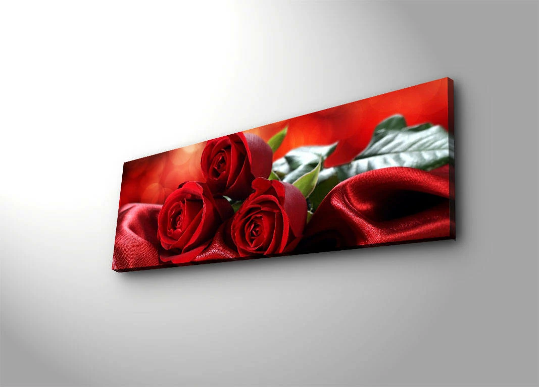 Pikturë dekorative në kanavacë me drita LED, shumëngjyrëshe, 30x90cm, 3090DACT-31