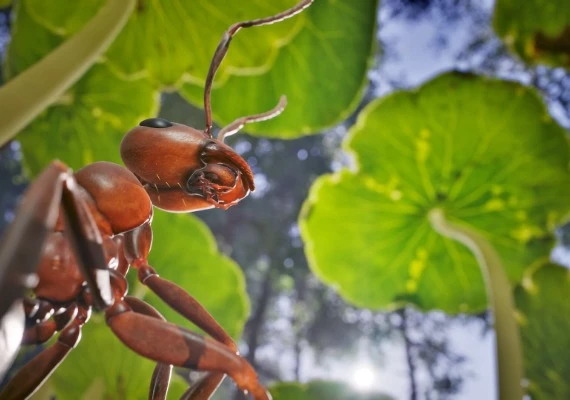 Empire of the Ants Global