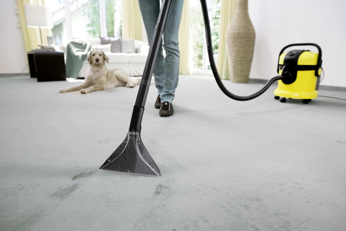 SE 4001 Plus Karcher - Fshese speciale larese/tharese
