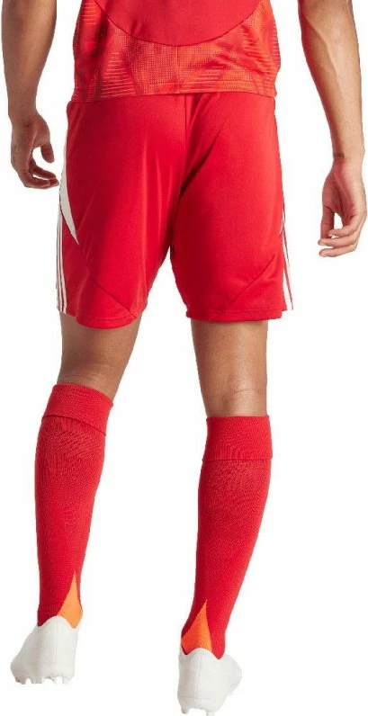 Shorce për meshkuj adidas, të kuqe [Madhësia: XL]