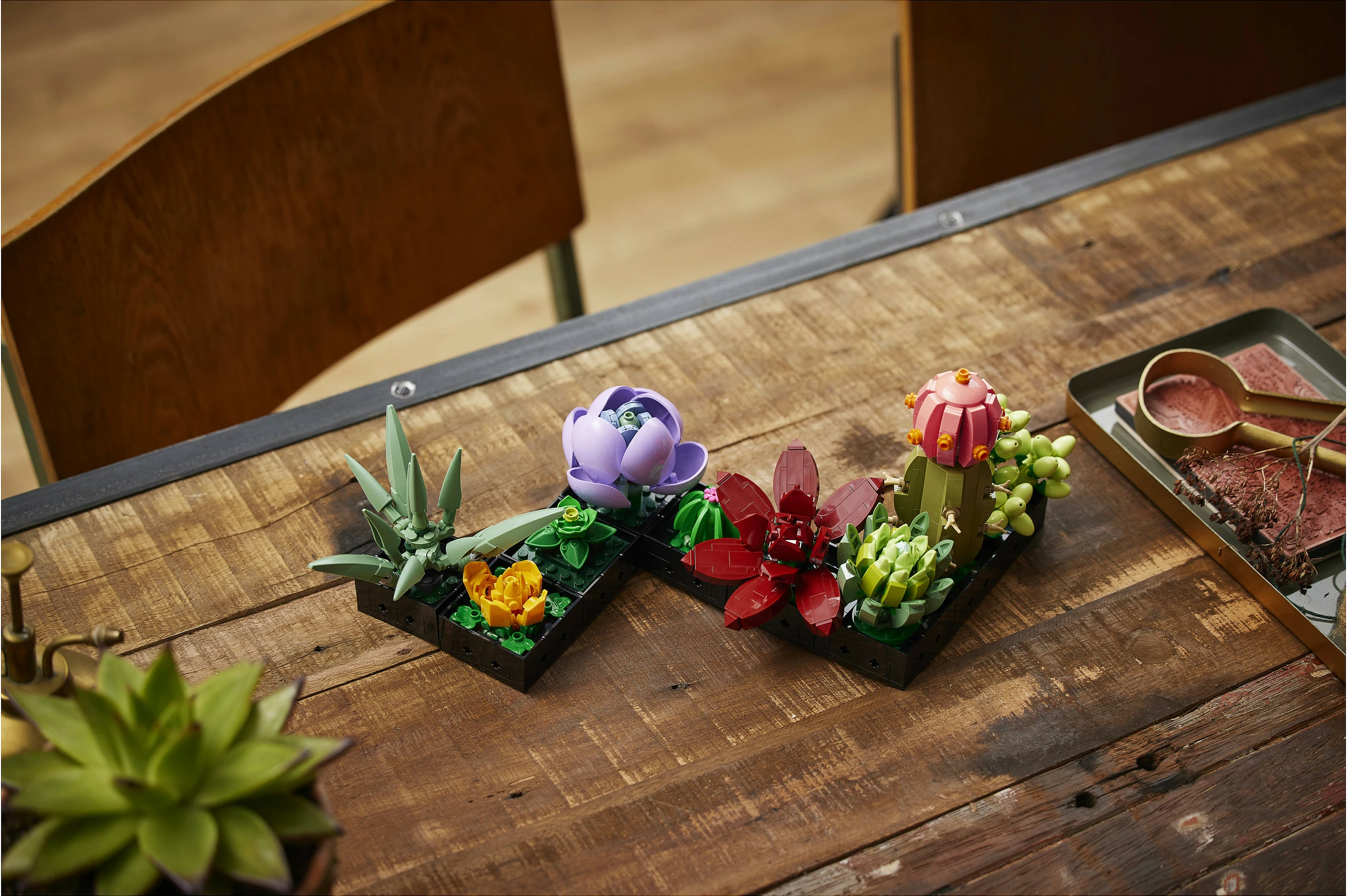 Set ndërtimi LEGO Botanicals Succulents 10309, 771 copë, 18+, multikolor