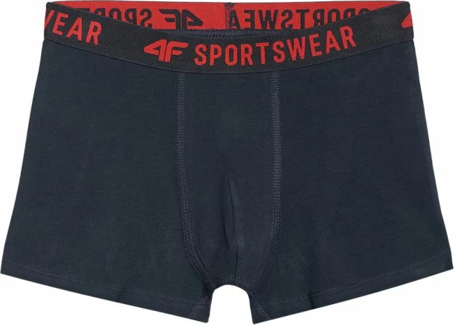 Të brendshme për djem 4F, multikolor