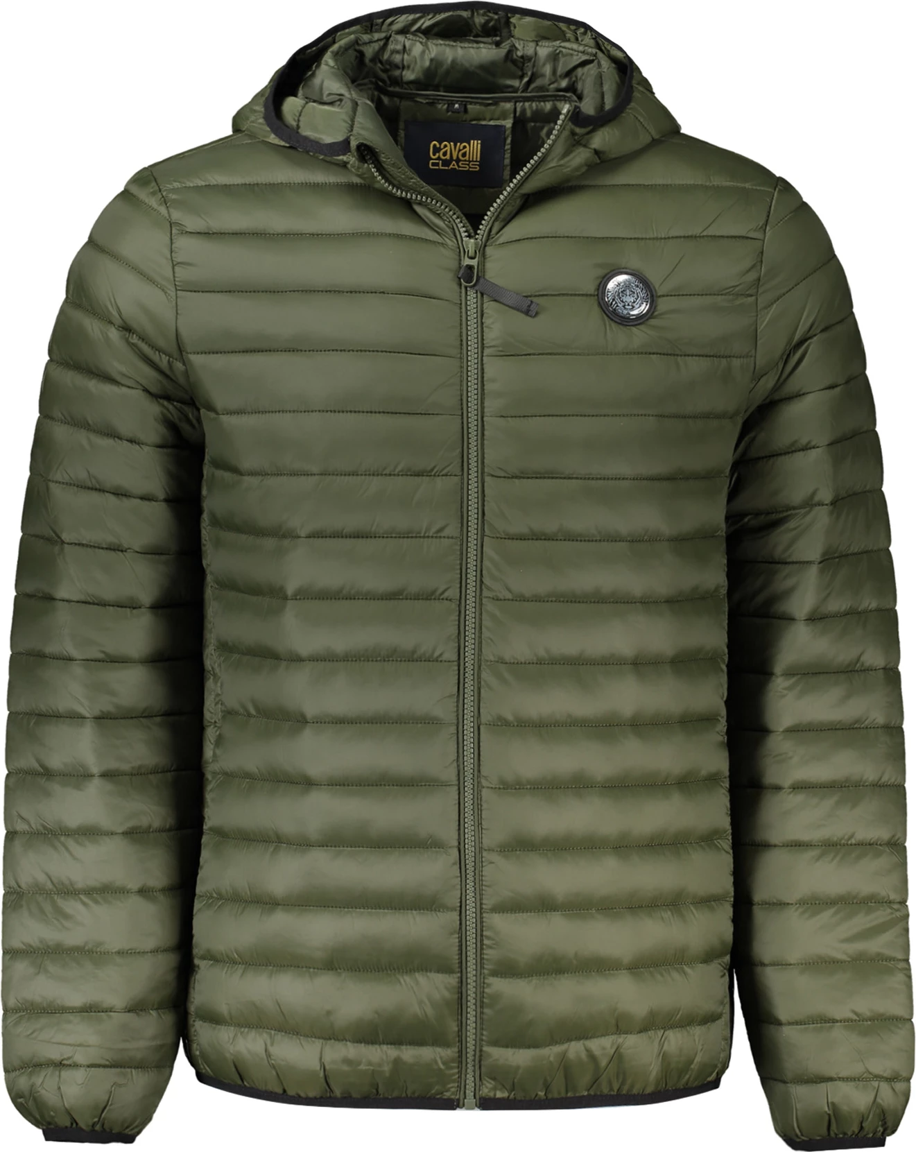 Jakne për meshkuj CAVALLI CLASS, e gjelbër