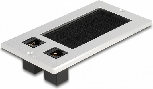 Panel kalimi kabllosh DeLOCK, Cat.6, 2x RJ45 Keystone, alumin, bardhë/zezë