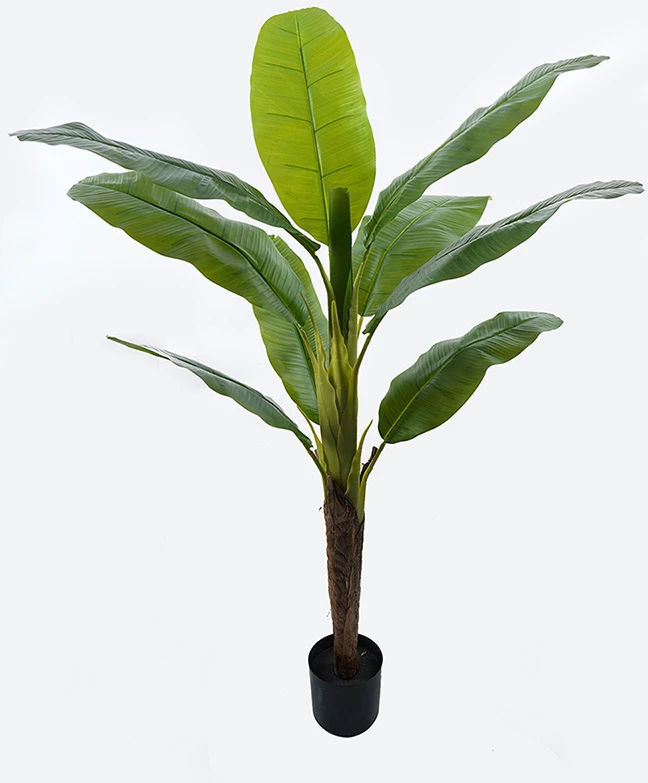 Bimë dekorative Banono në vazo, ngjyrë e gjelbër, 95x160cm