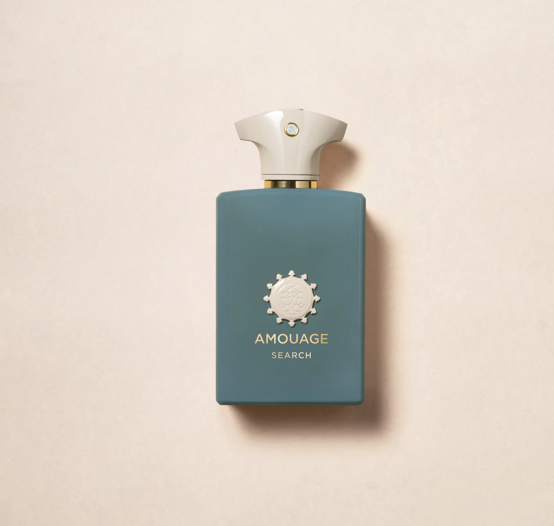 Eau de Parfum Amouage Search, 100 ml 