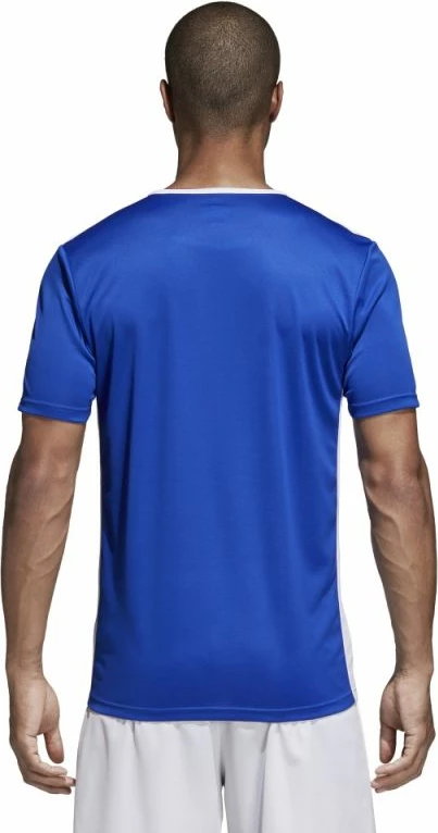 Fanellë futbolli për meshkuj dhe fëmijë adidas Entrada 18, blu [Madhësia: XL]