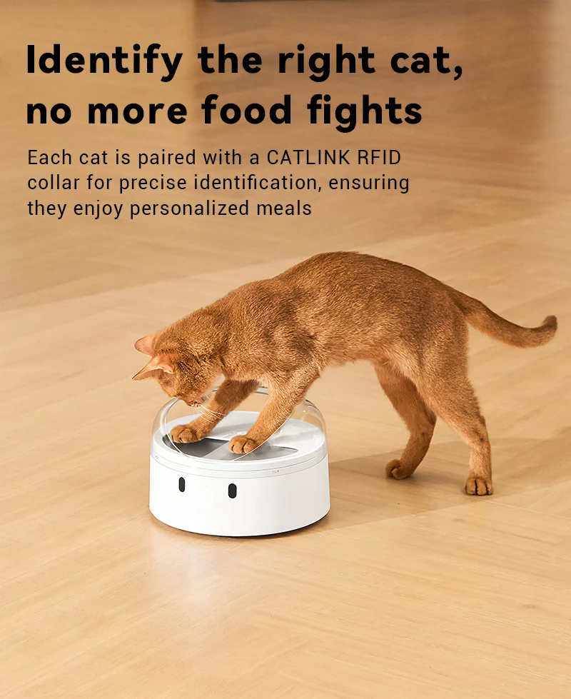 Dispenser smart ushqimi për mace Catlink F03, 400 ml, RFID + njohje fytyre, i bardhë, set me qafore + RFID tag