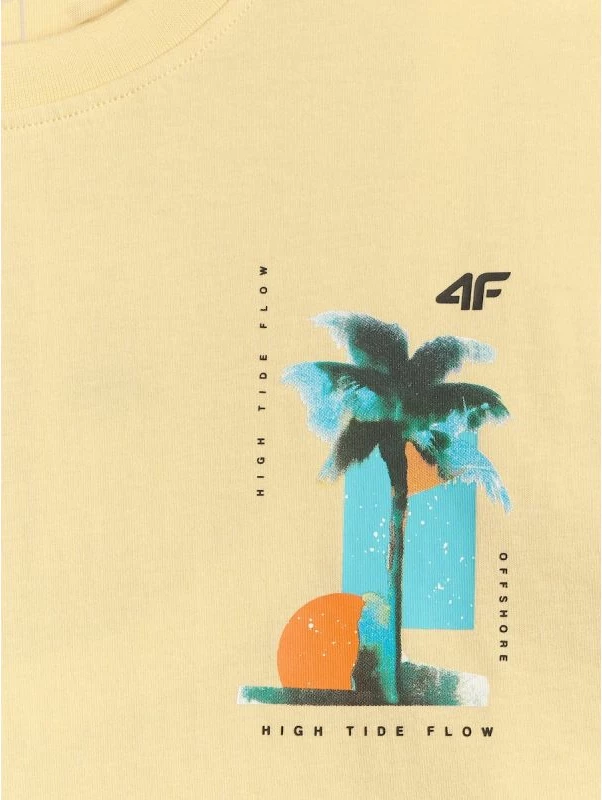 Maicë për meshkuj 4F 4FRSS26TTSHM4301-73S, me print [Madhësia: XL]