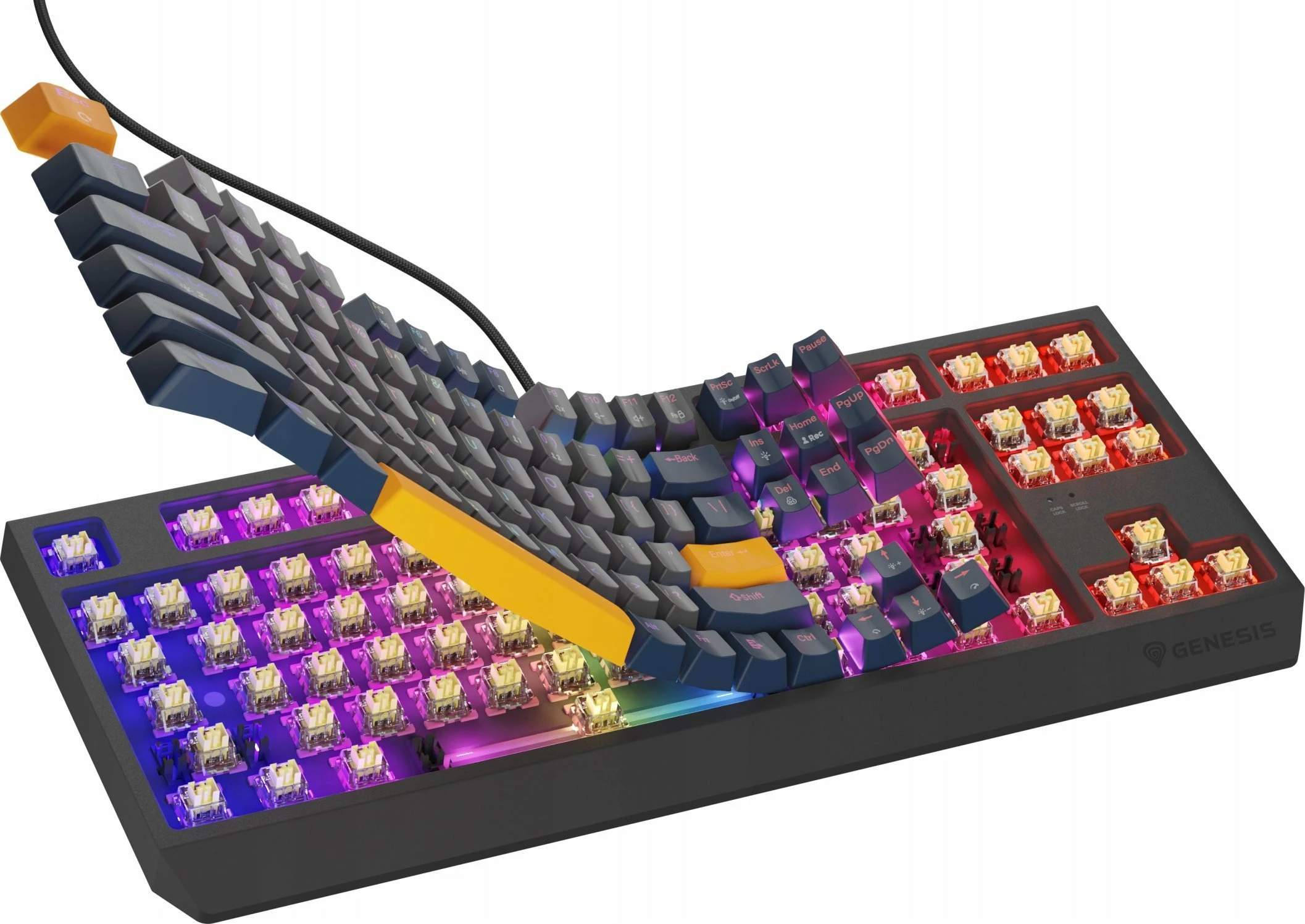Tastierë mekanike gaming GENESIS Thor 230 TKL NKG-2164, Outemu Panda, Hot Swap, RGB, USB me kabllo, US layout, aksente blu