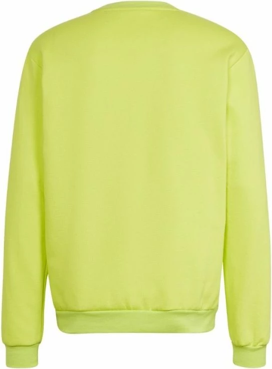 Duks për meshkuj adidas, jeshil