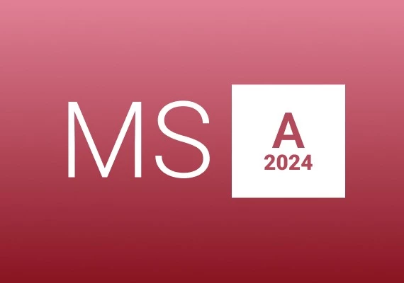 MS Access 2024 Global