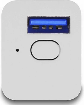 Switch USB Wi‑Fi DeLOCK 11832, Smart Life, 2.4GHz 802.11n, Alexa/Google, i bardhë