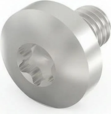 Vidë Torx SCHROFF LIKOSHR M4x6 Pentorx, 100 copë, argjend
