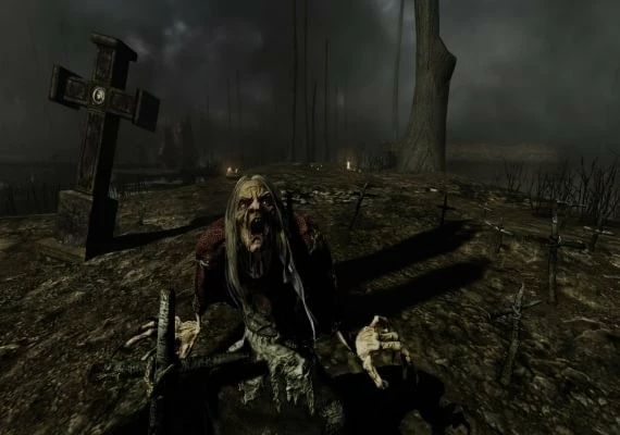 Painkiller: Hell & Damnation Collectors Edition Global