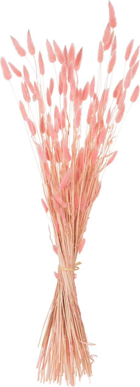 Buqetë dekorative e tharë, bisht lepuri, FH7960, rozë, 75H cm