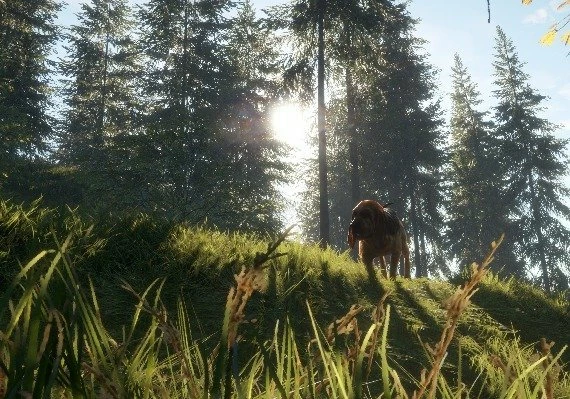 theHunter: Call of the Wild - Essentials Bundle DLC Global