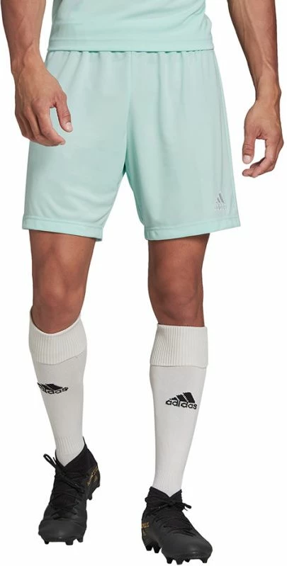 Shorce për meshkuj Adidas Entrada 22, të kaltër [Madhësia: S]