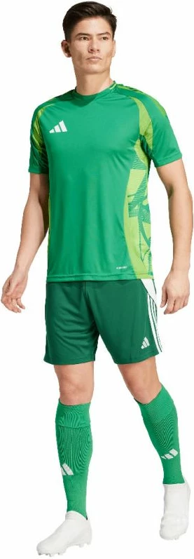 Shorce për meshkuj adidas, të gjelbërta [Madhësia: XXL]