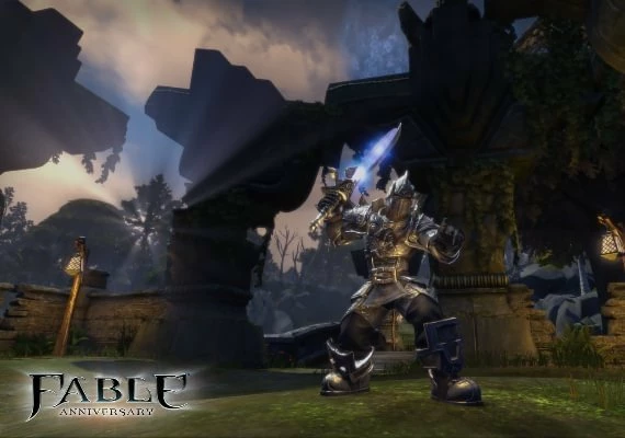 Fable Anniversary Global