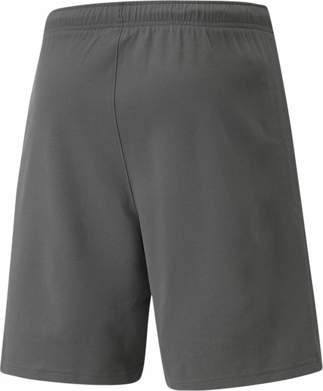 Shorce për meshkuj Puma, gri [Madhësia: XL]